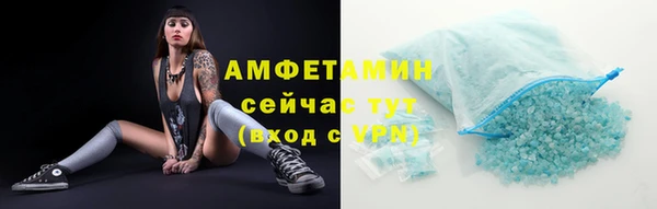 apvp Аша