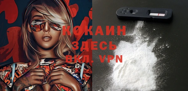 apvp Аша