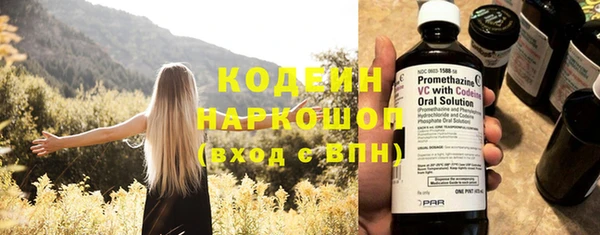 apvp Аша