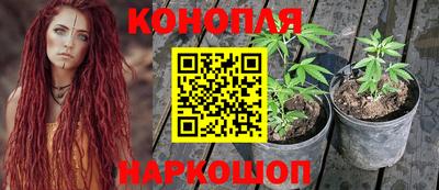 винт Гагарин