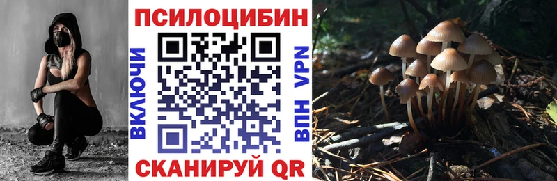 Галлюциногенные грибы Psilocybine cubensis  как найти наркотики  Гурьевск 
