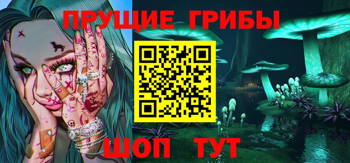Галлюциногенные грибы GOLDEN TEACHER  Гурьевск 
